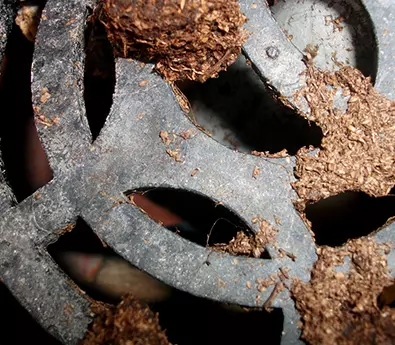 drains clogged with debris