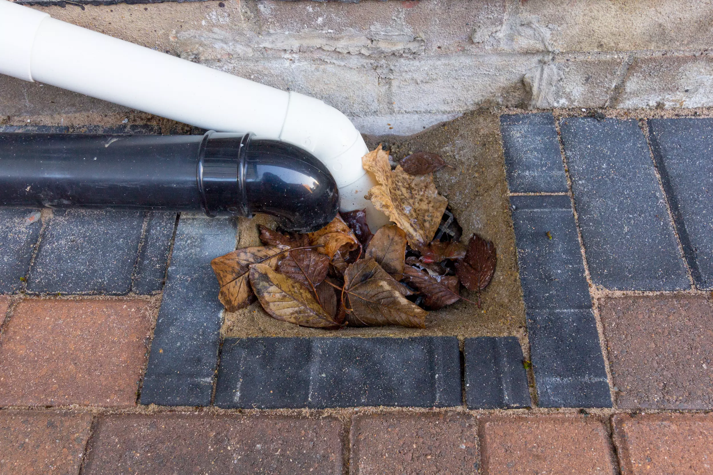 Who Pays for Blocked Drains Who Pays for Blocked Drains